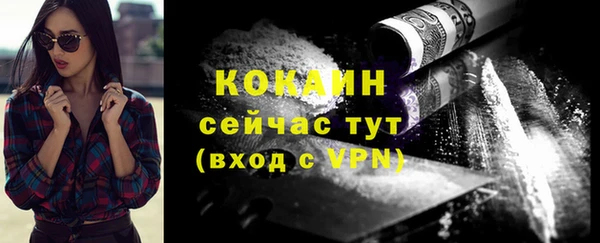 гашик Горняк
