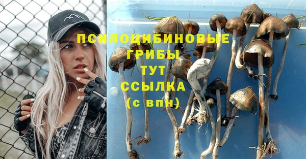 первитин Вязники