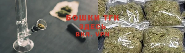 гашик Горняк