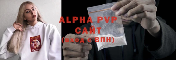 гашик Горняк