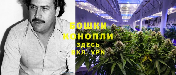 ECSTASY Вяземский