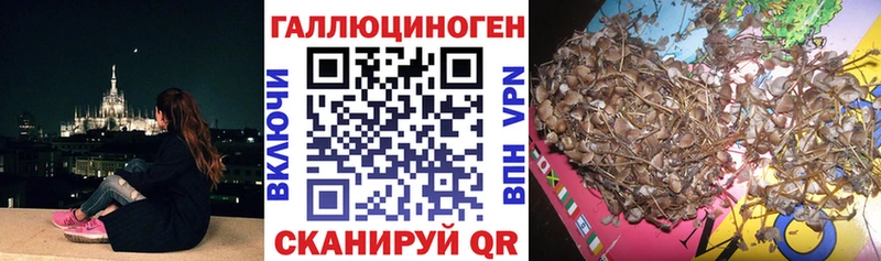 Купить закладки  Озёры  Галлюциногенные грибы Psilocybe 